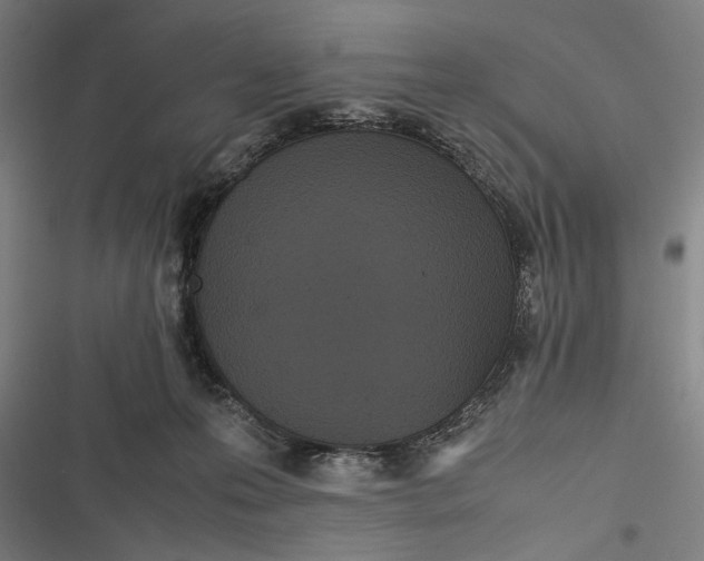 X0000116600223201001081156