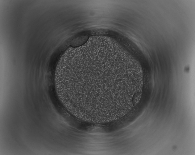 X0000116600224201001081156
