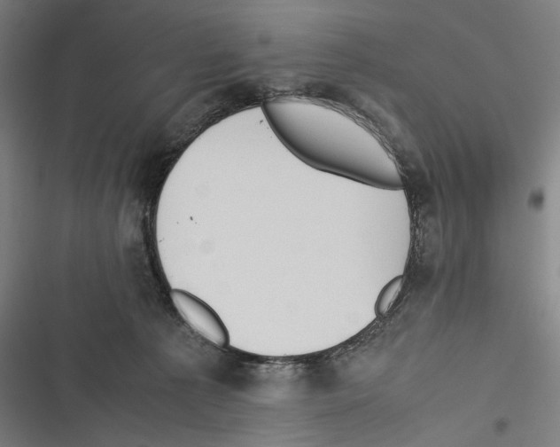 X0000116600225201001081156