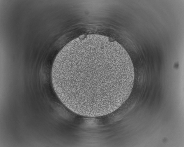X0000116600226201001081156