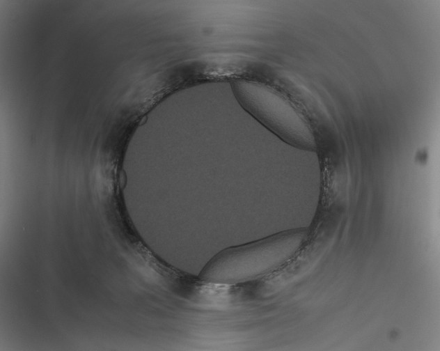 X0000116600227201001081156