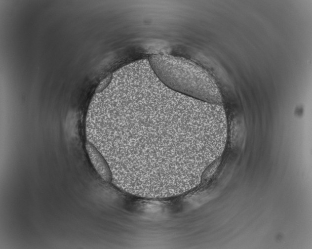 X0000116600229201001081156