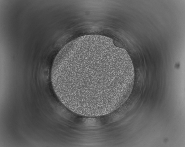 X0000116600230201001081156