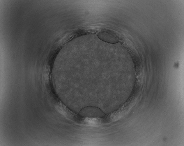 X0000116600231201001081156