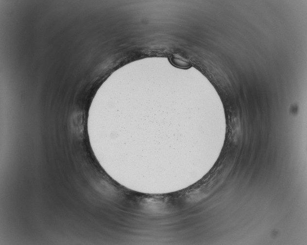 X0000116600232201001081156
