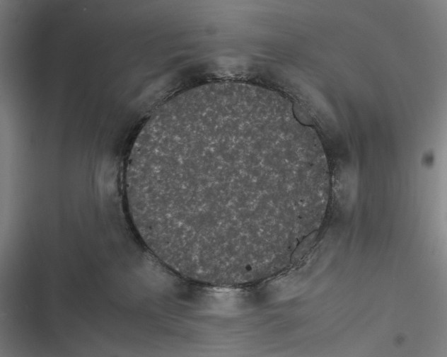 X0000116600233201001081156