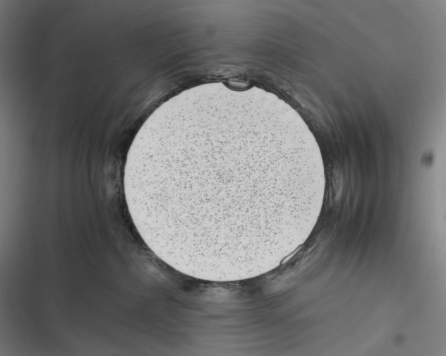 X0000116600236201001081156
