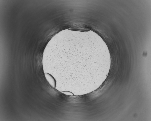 X0000116600240201001081156