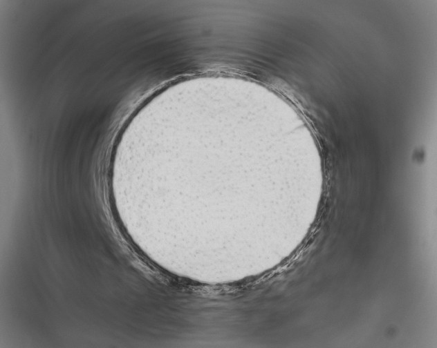 X0000116600241201001081155