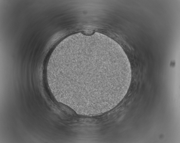 X0000116600242201001081155