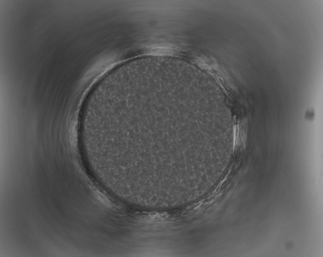 X0000116600243201001081155