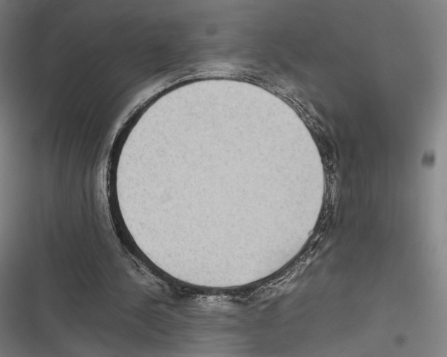 X0000116600244201001081155