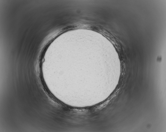 X0000116600245201001081155