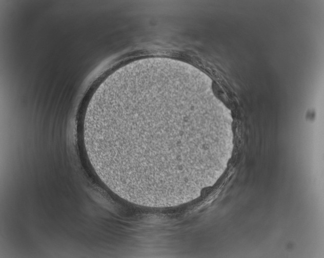 X0000116600246201001081155