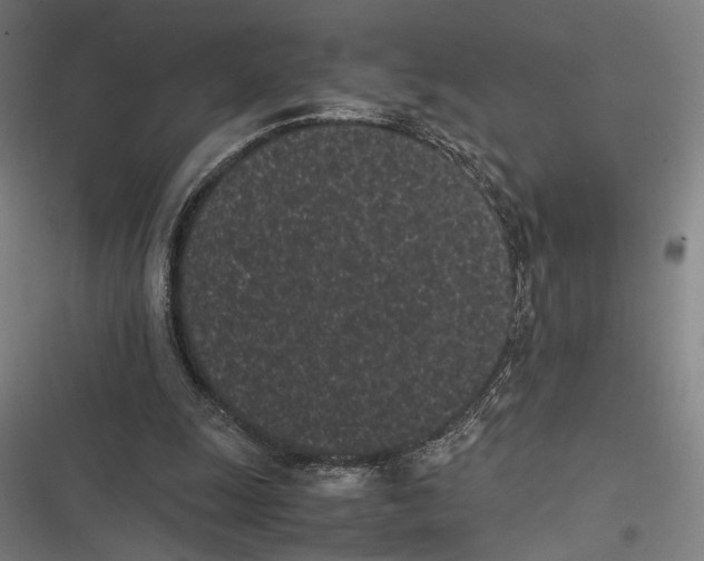 X0000116600247201001081155