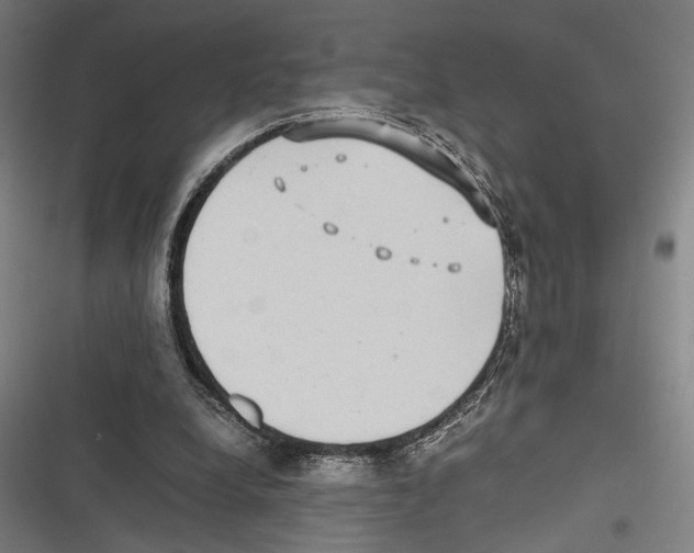 X0000116600248201001081155