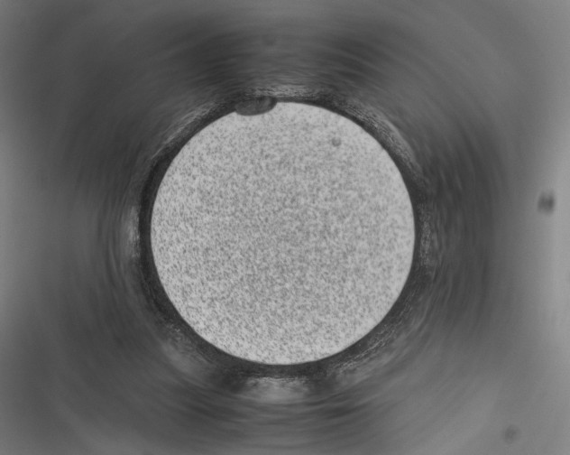 X0000116600251201001081155