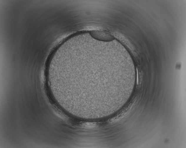 X0000116600252201001081155