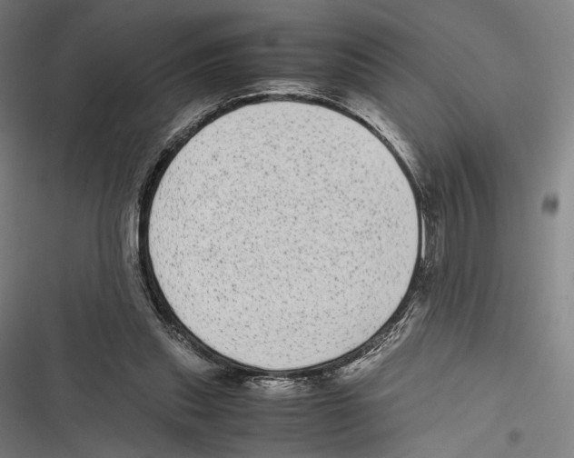 X0000116600253201001081155