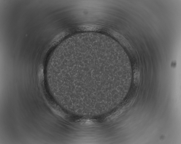 X0000116600254201001081155