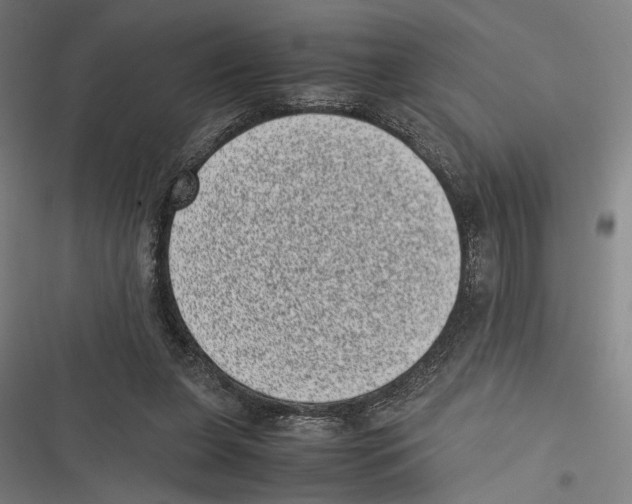 X0000116600255201001081155