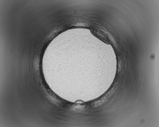 X0000116600257201001081155