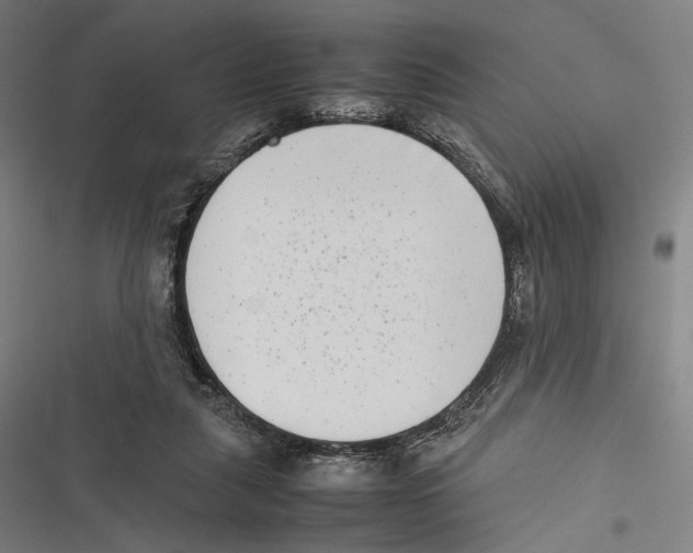 X0000116600259201001081155