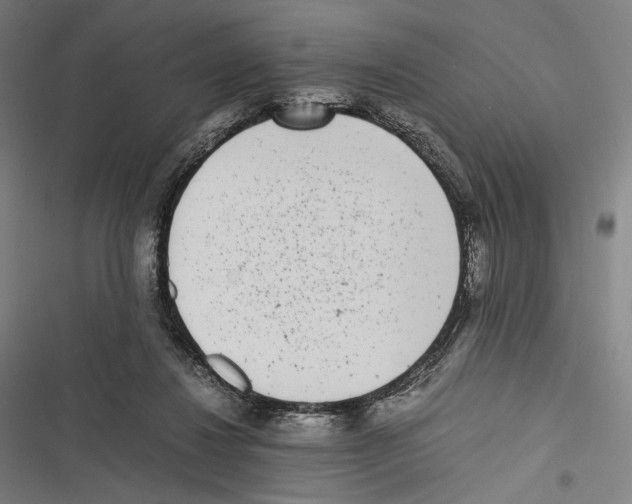 X0000116600260201001081156
