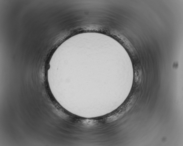 X0000116600261201001081156