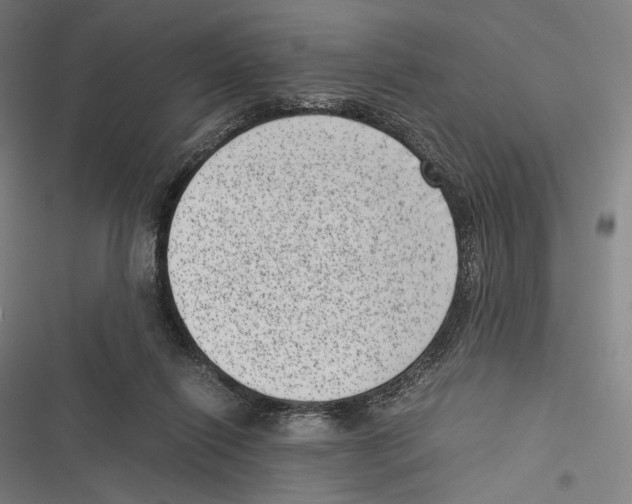 X0000116600262201001081156