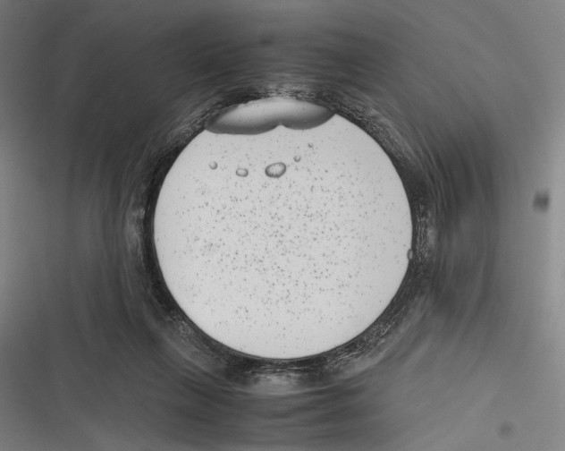 X0000116600263201001081156