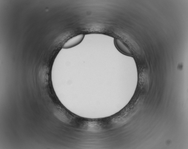X0000116600264201001081156