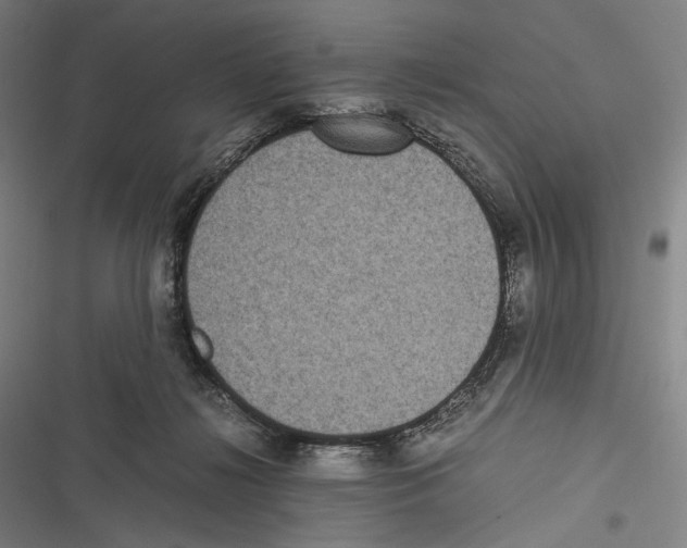 X0000116600268201001081156