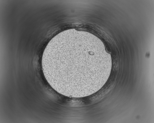 X0000116600270201001081156