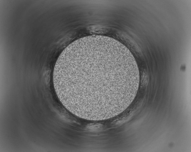 X0000116600271201001081156