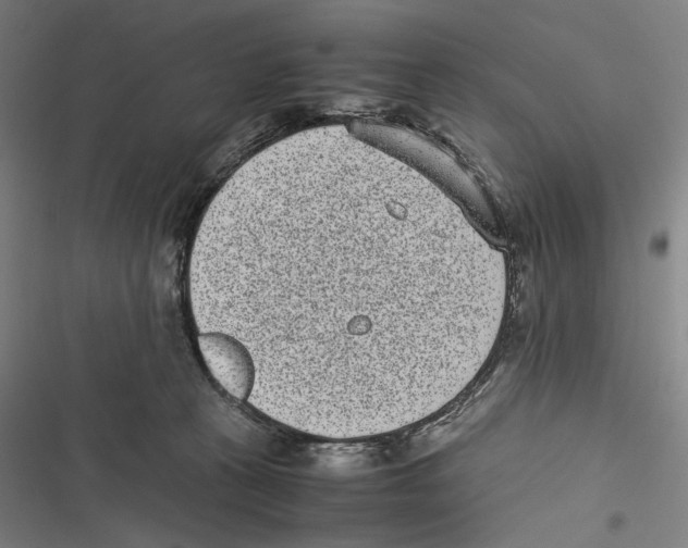 X0000116600273201001081156
