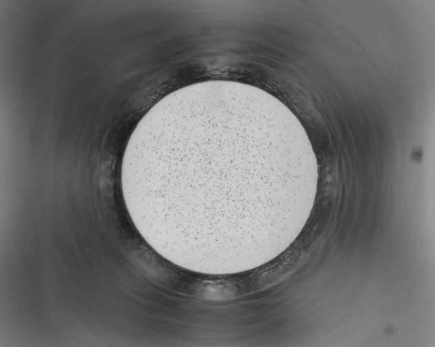 X0000116600275201001081156