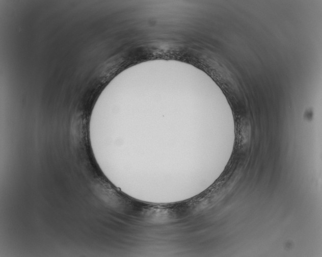X0000116600276201001081156