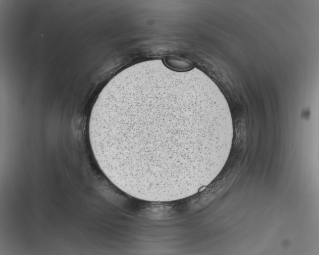 X0000116600278201001081156