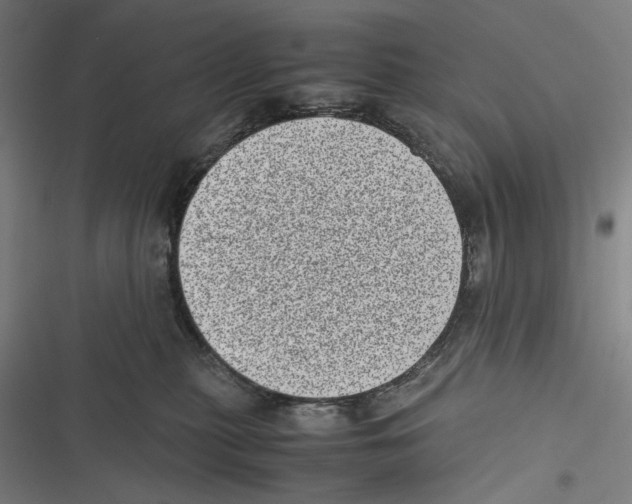 X0000116600279201001081156