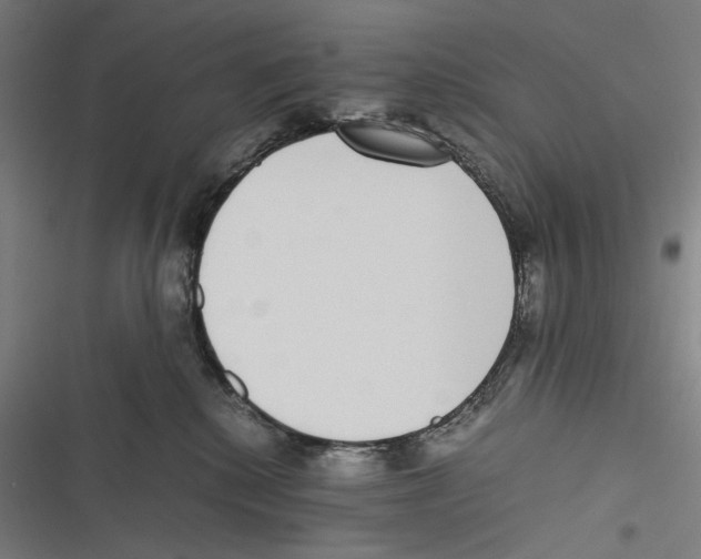 X0000116600280201001081156