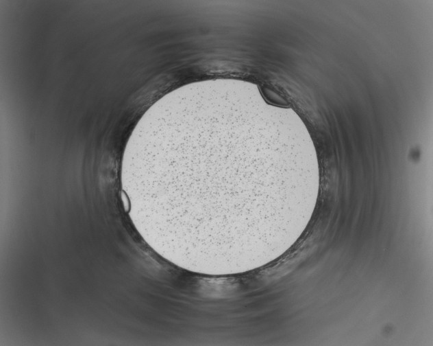 X0000116600281201001081156