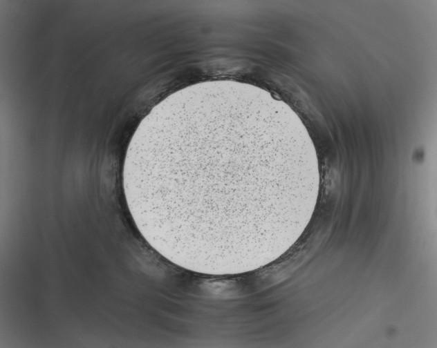 X0000116600283201001081156