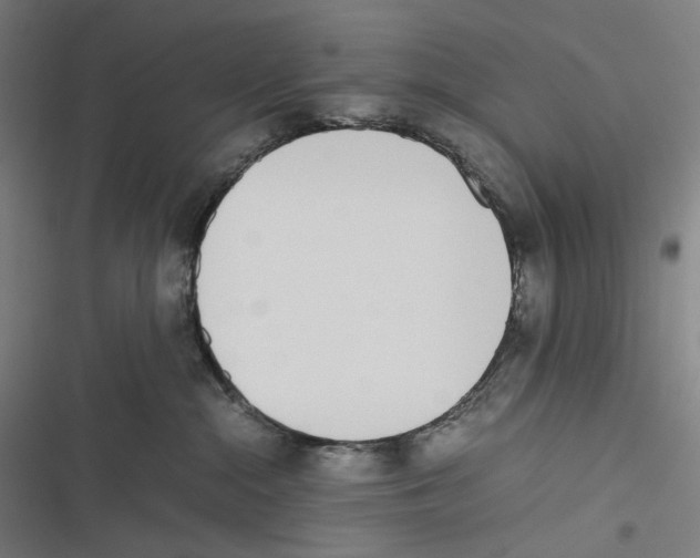 X0000116600284201001081156