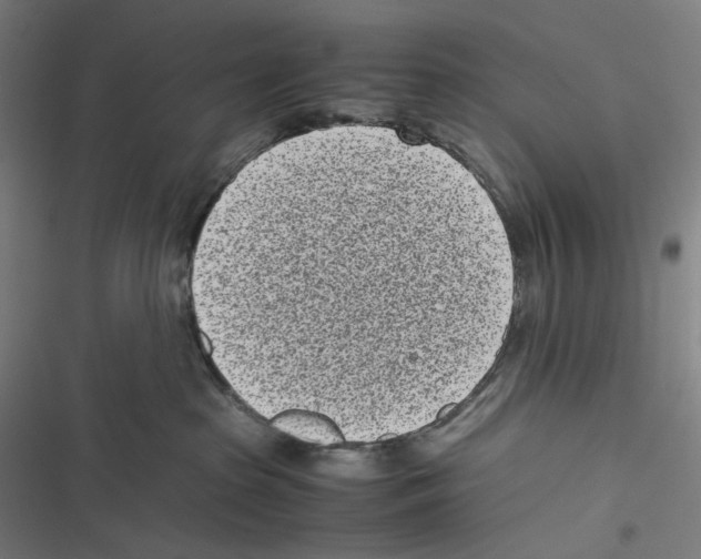 X0000116600285201001081156