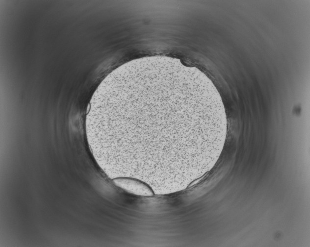 X0000116600286201001081156