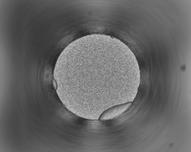 X0000116600287201001081156