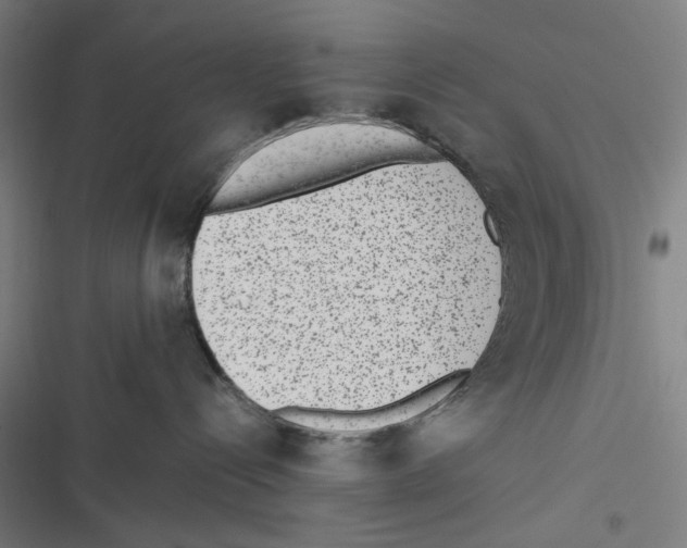 X0000116600288201001081156