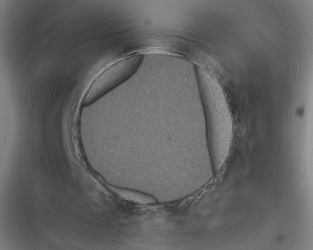 X0000116600289201001081155