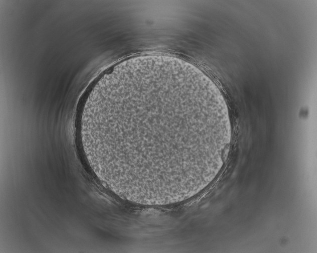 X0000116600290201001081155